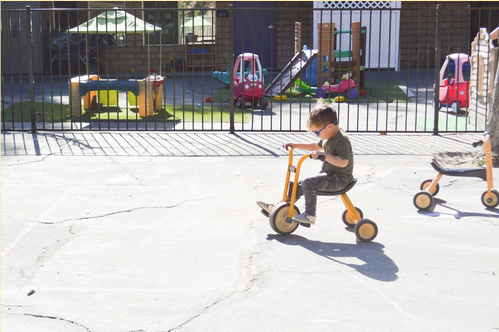 Saplings 3 - 4 years at HCS